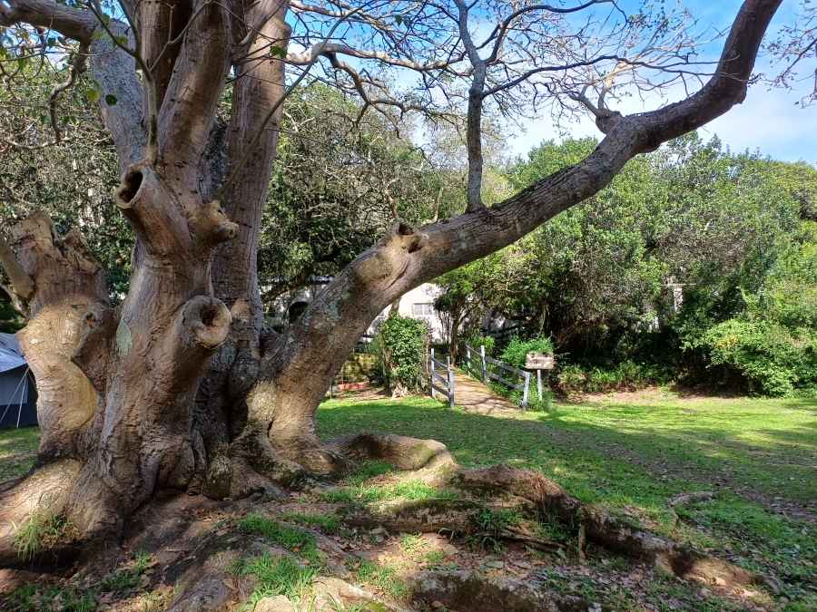 Commercial Property for Sale in Sedgefield Rural Western Cape